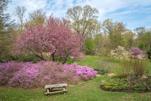 Nature Preserve «Greenburgh Nature Center», reviews and photos, 99 Dromore Rd, Scarsdale, NY 10583, USA