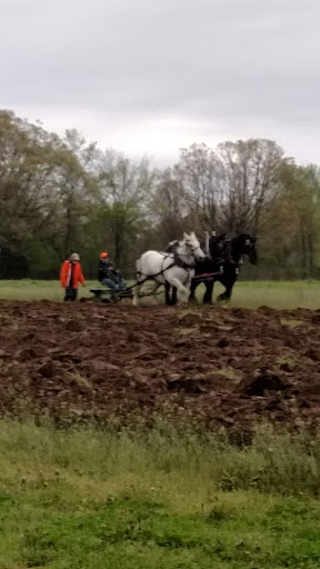 Nature Preserve «DeVries Nature Conservancy», reviews and photos, 2635 N Michigan 52, Owosso, MI 48867, USA