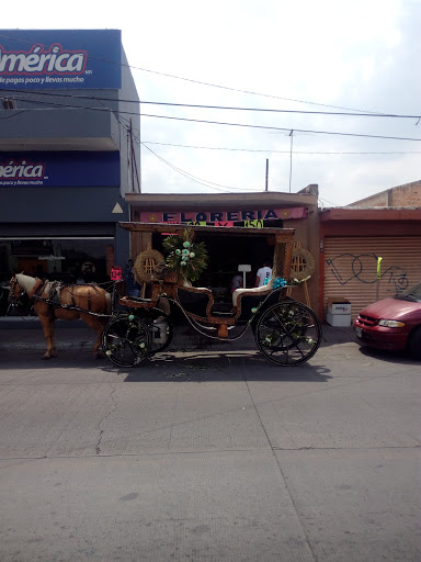 Florería san pedrito