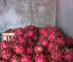 Buah Berkah photo