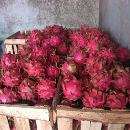 Buah Berkah