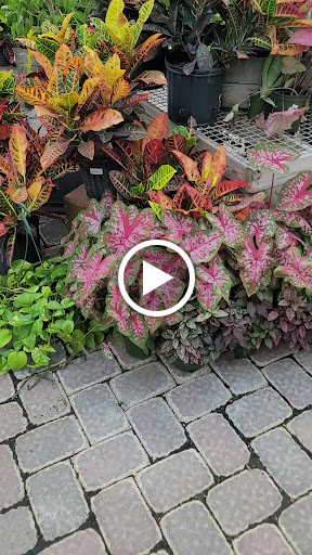 Farm «Dreyer Farms», reviews and photos, 831 Springfield Ave, Cranford, NJ 07016, USA
