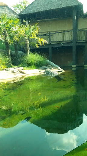 Zoo «Memphis Zoo», reviews and photos, 2000 Prentiss Pl, Memphis, TN 38112, USA