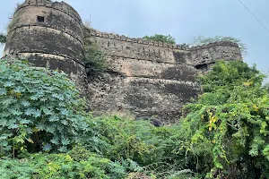 Sanganer Fort image