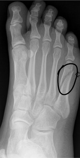 Department Store «Sears», reviews and photos, 3801 E Foothill Blvd, Pasadena, CA 91107, USA