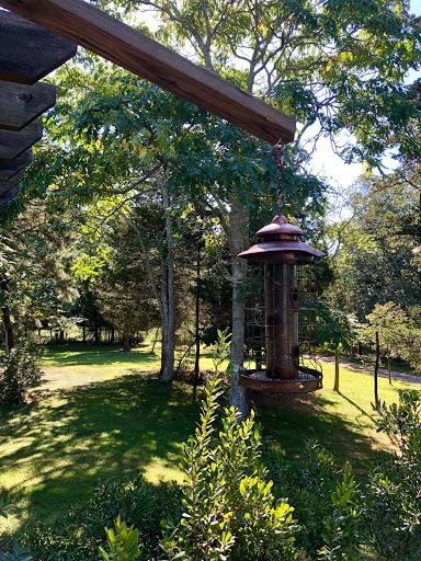 Community Park «Wells Mills County Park», reviews and photos, 905 Wells Mills Rd, Waretown, NJ 08758, USA