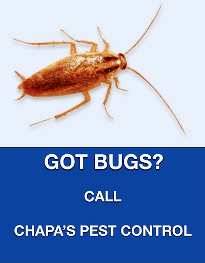 Chapas Pest Control image 7