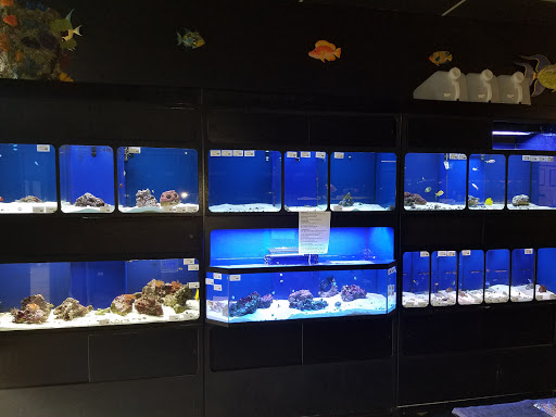 Tropical Fish Store «Glass Aquatics», reviews and photos, 542 W Harwood Rd, Hurst, TX 76054, USA