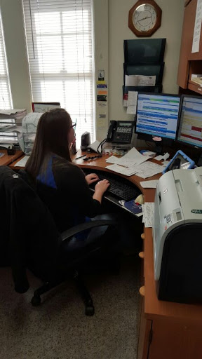 Pest Control Service «Peeler Environmental», reviews and photos