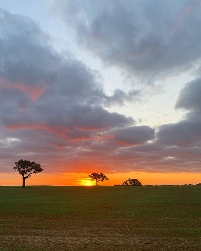 Meraki Massages Alentejo