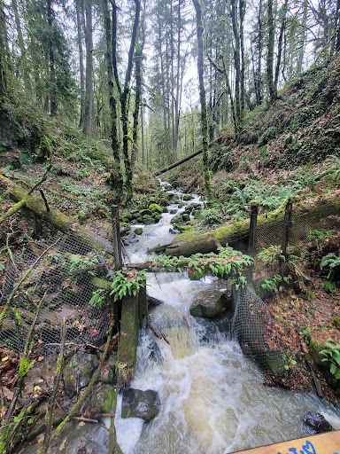 Non-Profit Organization «Audubon Society of Portland», reviews and photos, 5151 NW Cornell Rd, Portland, OR 97210, USA