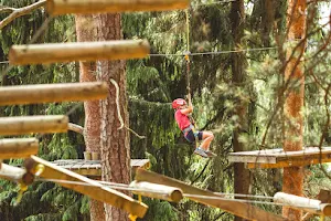 Giants trail, adventure park image