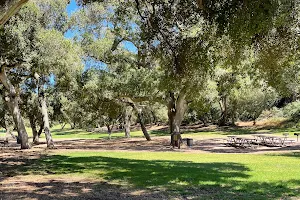 Royal Oaks Park image