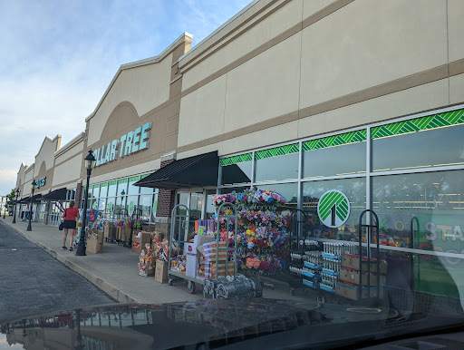 Dollar Tree, 389 Grand Valley Blvd, Martinsville, IN 46151, USA, 