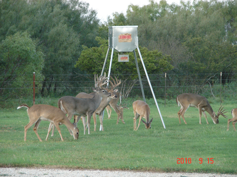 Manufacturer «All Seasons Feeders», reviews and photos, 8424 US Hwy 87 E, San Antonio, TX 78263, USA