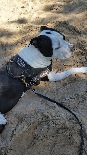 Park «W. Wayne Bunker Family Park», reviews and photos, 7351 W Alexander Rd, Las Vegas, NV 89129, USA