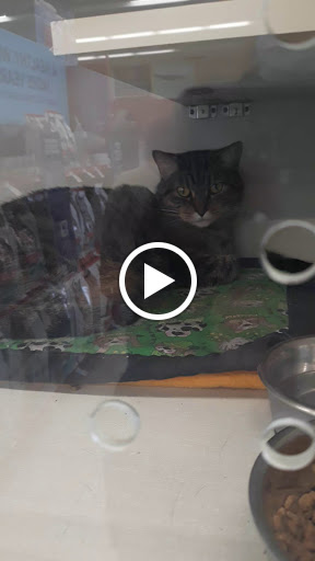 Pet Supply Store «Petco Animal Supplies», reviews and photos, 2140 E Blvd St, Kokomo, IN 46902, USA