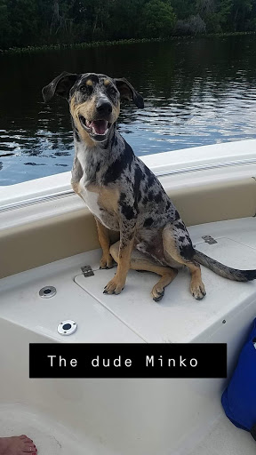 Plumber «Alternate Design Plumbing, Inc.», reviews and photos, 600 S Volusia Ave, Orange City, FL 32763, USA