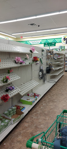 Dollar Store «Dollar Tree», reviews and photos, 16425 County Rd 30, Maple Grove, MN 55311, USA