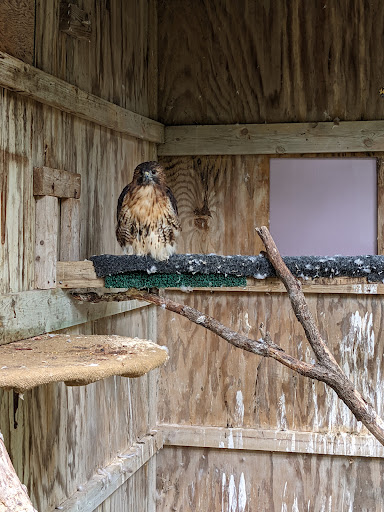 Nature Preserve «Iowa Raptor Center», reviews and photos, 2095 Mehaffey Bridge Rd NE, Solon, IA 52333, USA