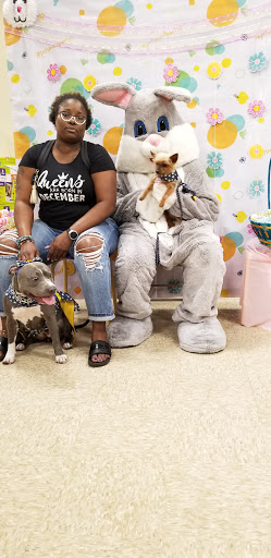 Pet Supply Store «PetSmart», reviews and photos, 7850 W Commercial Blvd, Lauderhill, FL 33351, USA