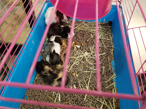 Pet Supply Store «Pet Finatics», reviews and photos, 3150 Navarre Ave, Oregon, OH 43616, USA