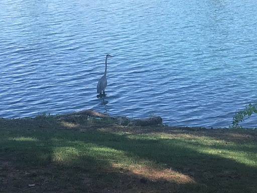 Shopping Mall «Mercado Del Lago Mall», reviews and photos, 8320 N Hayden Rd, Scottsdale, AZ 85258, USA