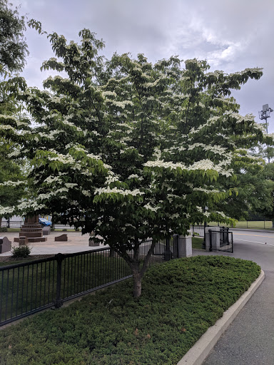 Park «East Boston Memorial Park», reviews and photos, 143 Porter St, Boston, MA 02128, USA