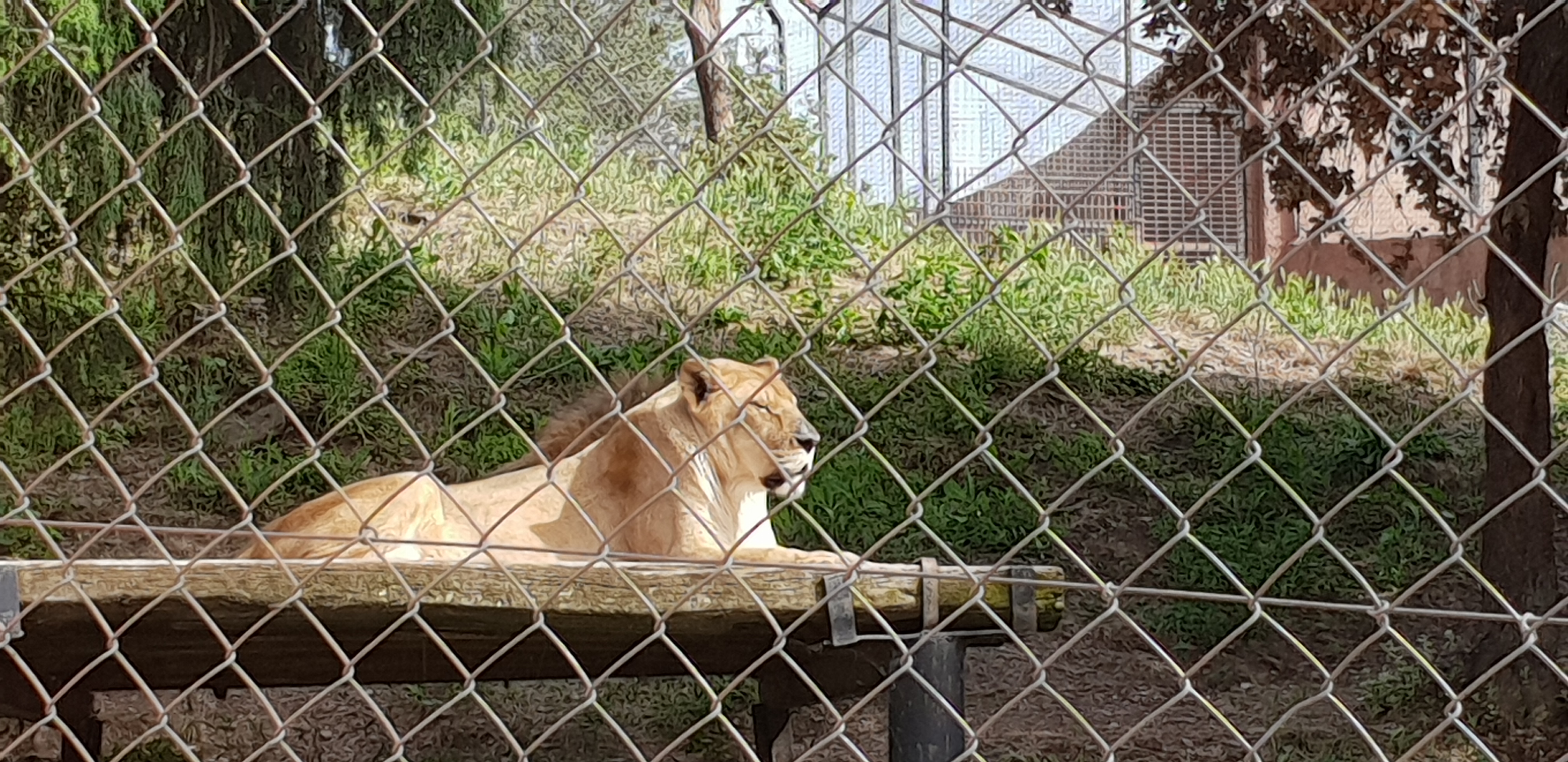 Photo n° 11 de l'avis de Anthony. fait le 11/06/2018 à 14:44