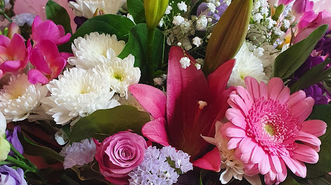 Reviews of The Flower Parade Ltd in Nottingham - Florist