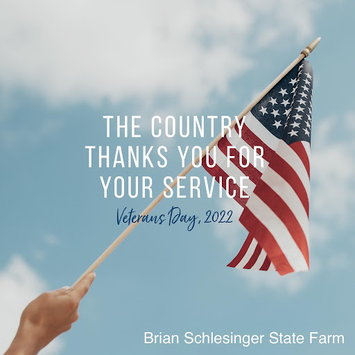 Insurance Agency «Brian Schlesinger - State Farm Insurance Agent», reviews and photos