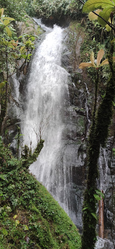 Cascada 3 Pailas - Restaurante