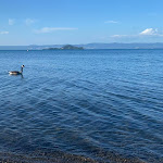 Photo n°1 de l'avis de M. fait le 16/07/2023 à 08:57 sur le  Mojito Capodimonte à Sant'Antonio