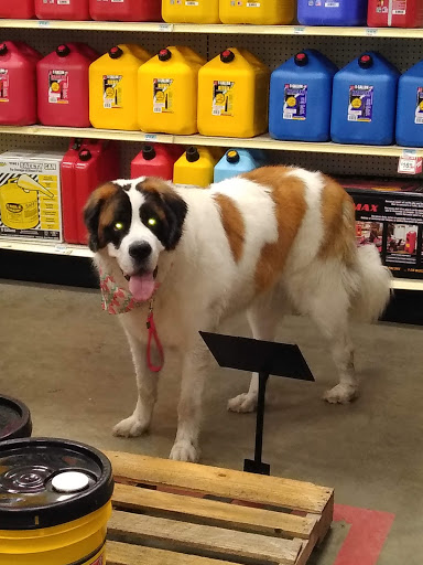 Home Improvement Store «Tractor Supply Co.», reviews and photos, 2600 Pepperell Pkwy, Opelika, AL 36801, USA