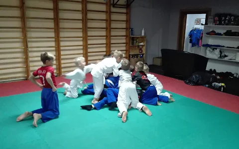 Cīņas kluba Profesionālis MMA BJJ image