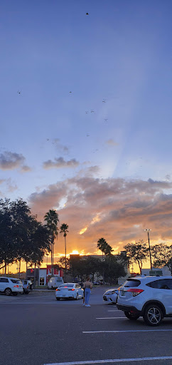 Discount Store «Walmart», reviews and photos, 11720 E Dr M.L.K. Jr Blvd, Seffner, FL 33584, USA