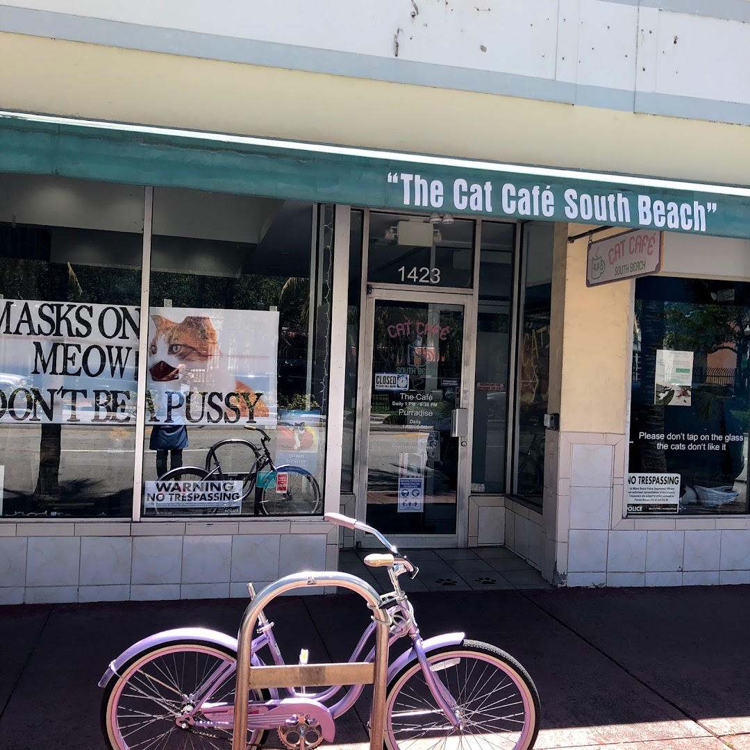 The Cat Caf South Beach