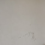 Photo n°2 de l'avis de Emanuela.i fait le 05/11/2022 à 11:14 sur le  Hotel Tiffany Milano à Trezzano sul Naviglio