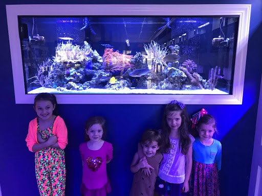 Tropical Fish Store «Classic City Aquariums», reviews and photos, 1260 Mars Hill Rd, Watkinsville, GA 30677, USA