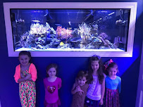 Classic City Aquariums - Photo 7 - Car repair in Watkinsville, GA, Athens