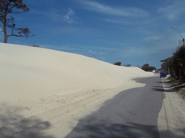 Médanos Parque del Plata