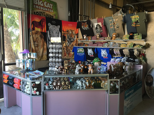 Non-Profit Organization «Big Cat Habitat & Gulf Coast Sanctuary», reviews and photos, 7101 Palmer Blvd, Sarasota, FL 34240, USA