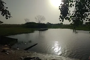 Chhara Piliya Cure Pond image