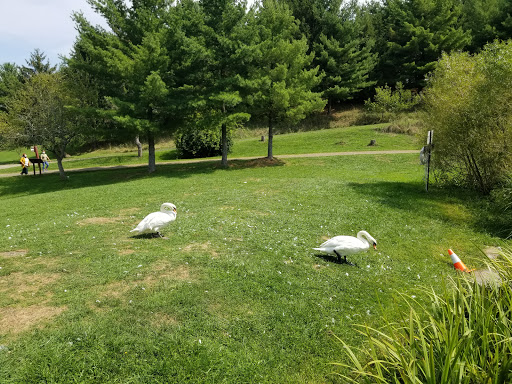 Hindu Temple «ISKCON New Vrindaban», reviews and photos