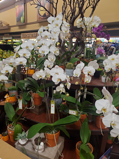 Grocery Store «Vons», reviews and photos, 26518 Bouquet Canyon Rd, Saugus, CA 91350, USA