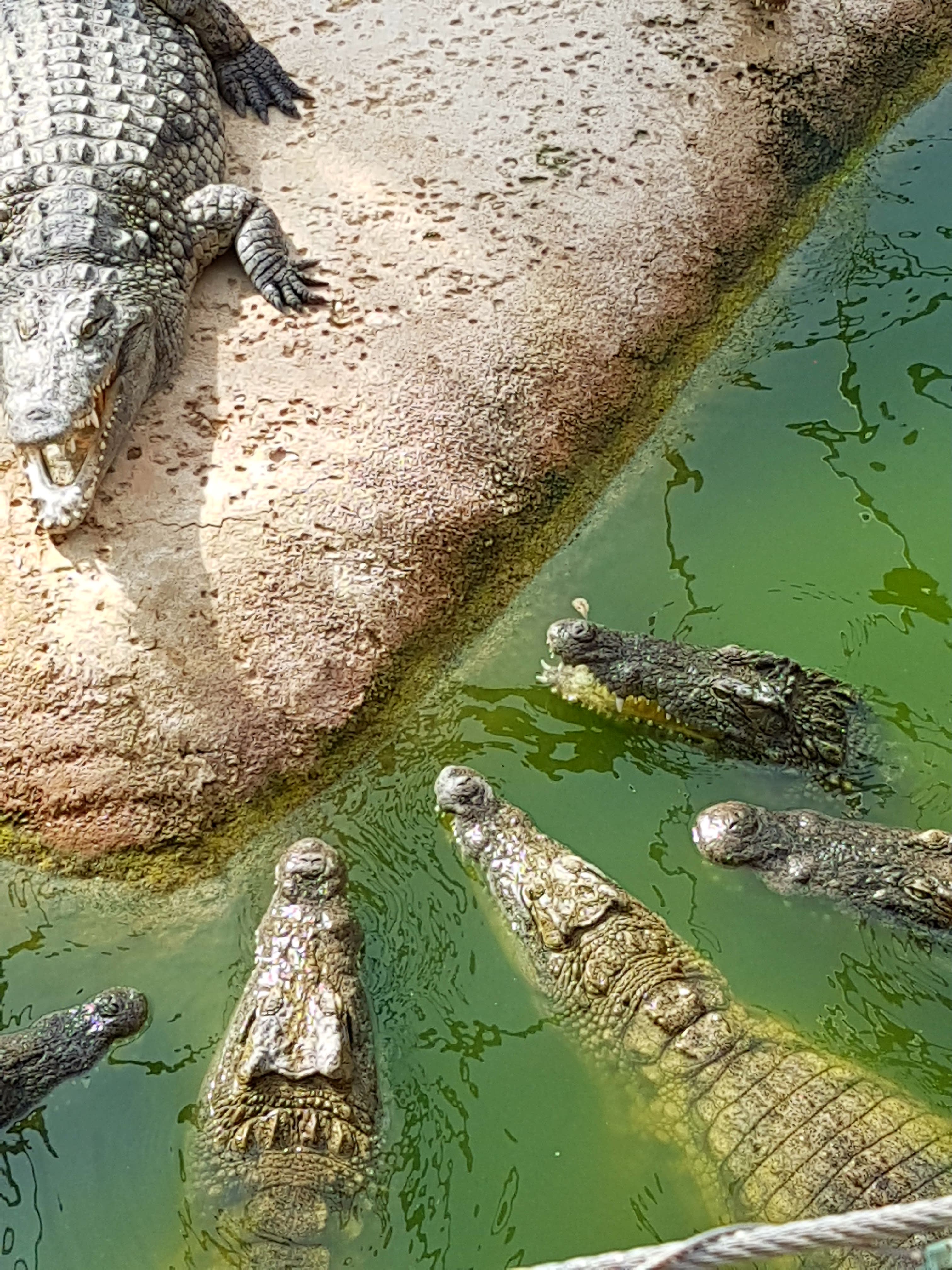 Photo n° 14 de l'avis de Gégé.e fait le 06/09/2020 à 16:49