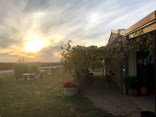 Winery «Pheasant Ridge Winery», reviews and photos, 3507 E County Road 5700, Lubbock, TX 79403, USA