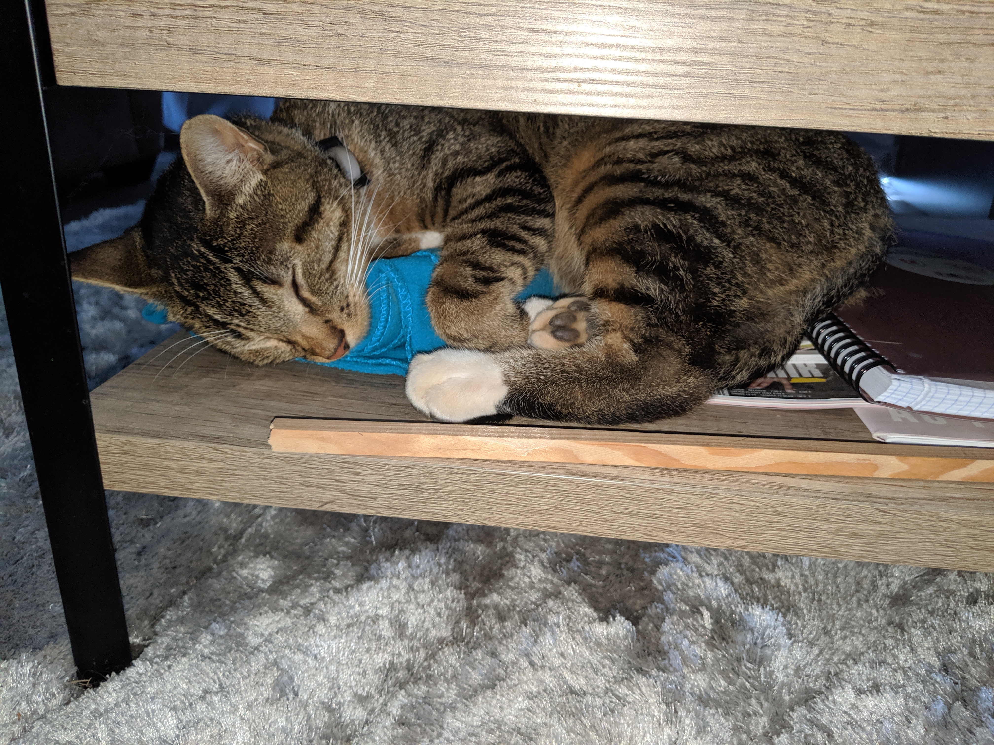 Photo n° 2 de l'avis de Klemens.o fait le 07/12/2022 à 16:33