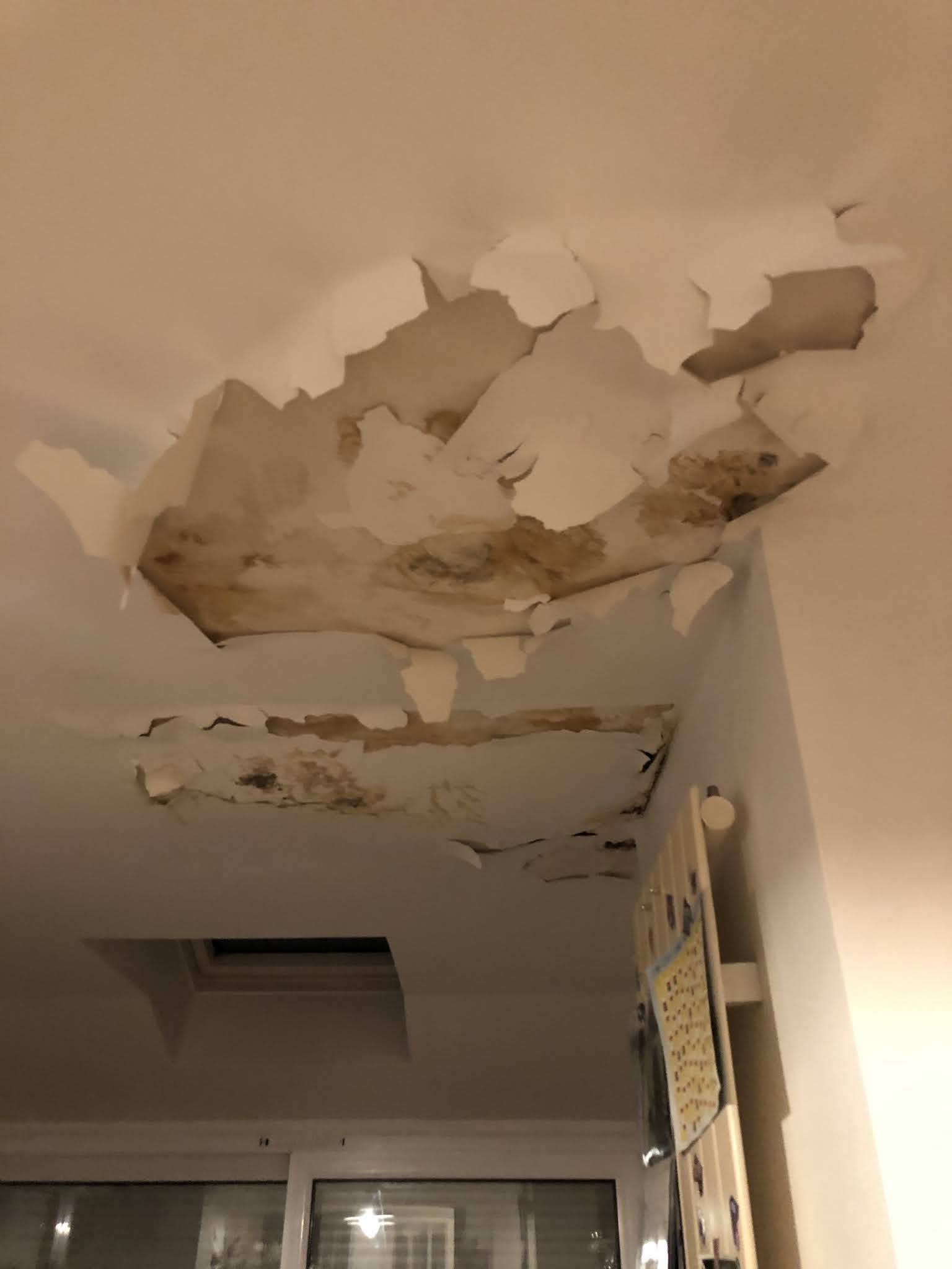 Photo n° 1 de l'avis de PL.l fait le 07/07/2021 à 19:25