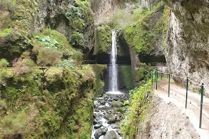 Levada Nova - Ponta do Sol image